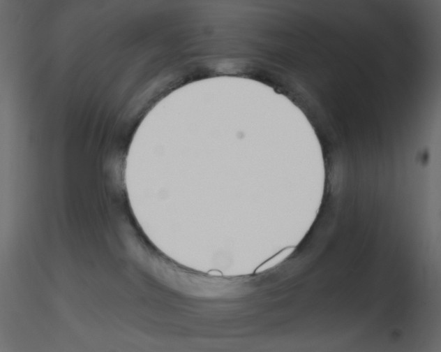 X0000115690044200912241511