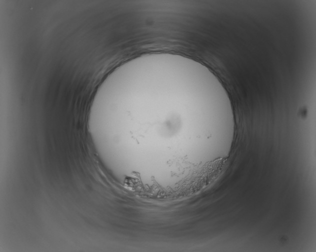 X0000115690045200912241511