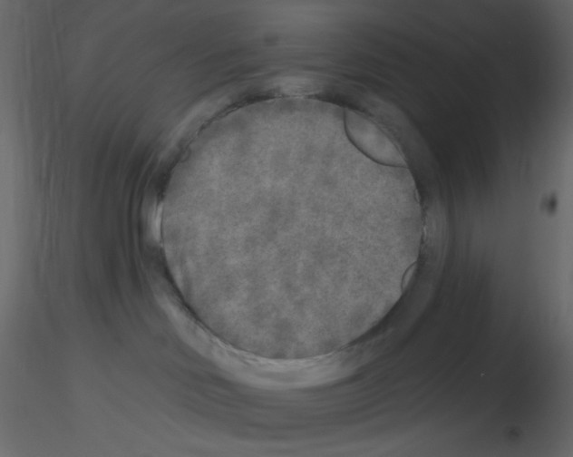 X0000115690046200912241511