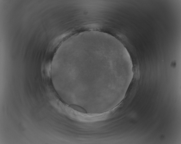 X0000115690047200912241511