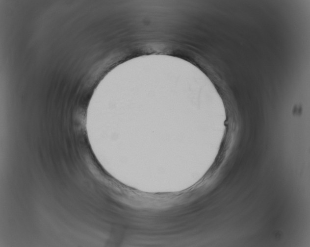 X0000115690048200912241511
