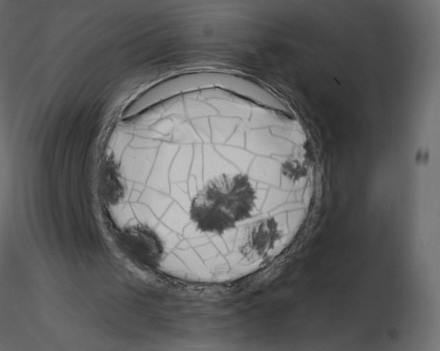 X0000115690049200912241510