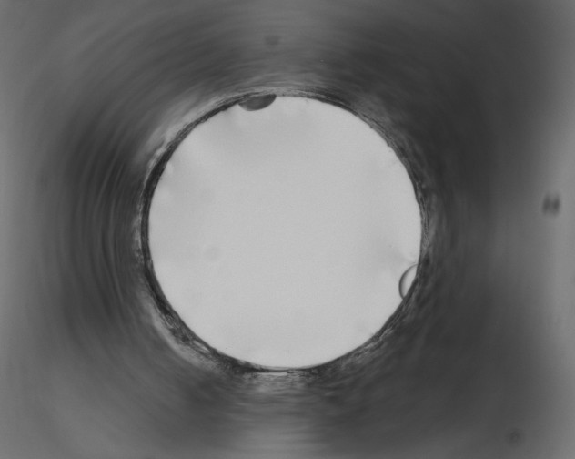 X0000115690050200912241510