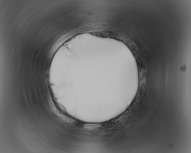 X0000115690051200912241510