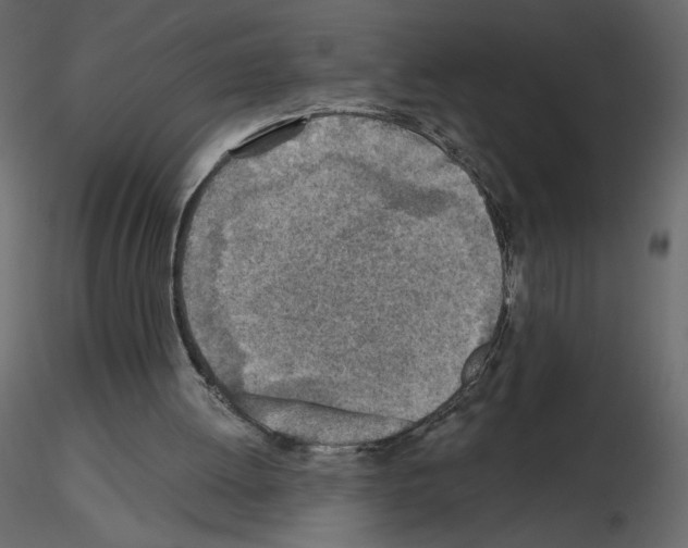 X0000115690052200912241510