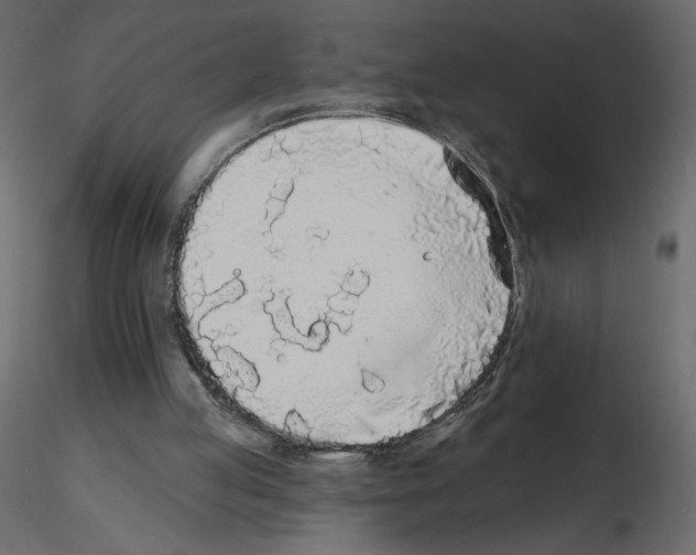 X0000115690053200912241510