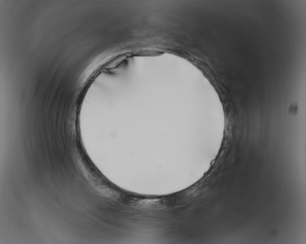 X0000115690054200912241510
