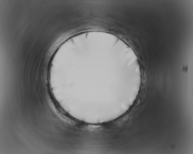 X0000115690055200912241510