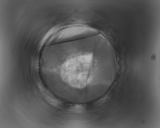 X0000115690056200912241510