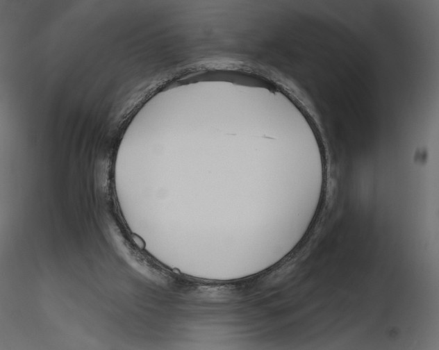 X0000115690057200912241510