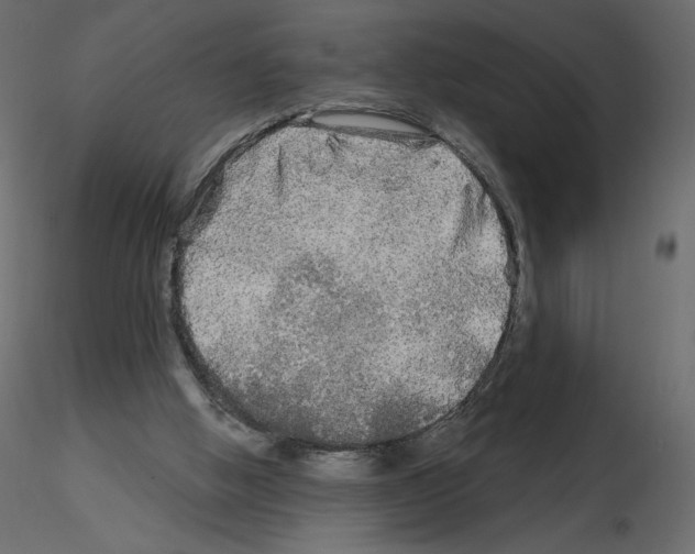 X0000115690058200912241510