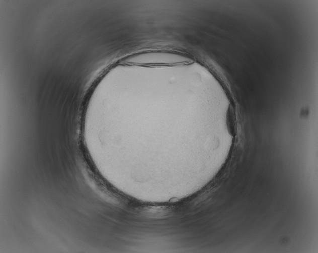 X0000115690059200912241510