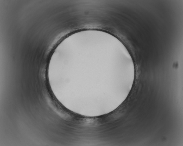 X0000115690060200912241510