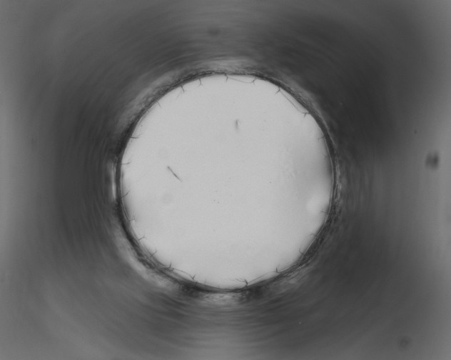 X0000115690061200912241510