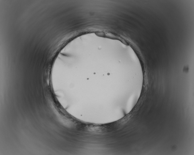 X0000115690062200912241510