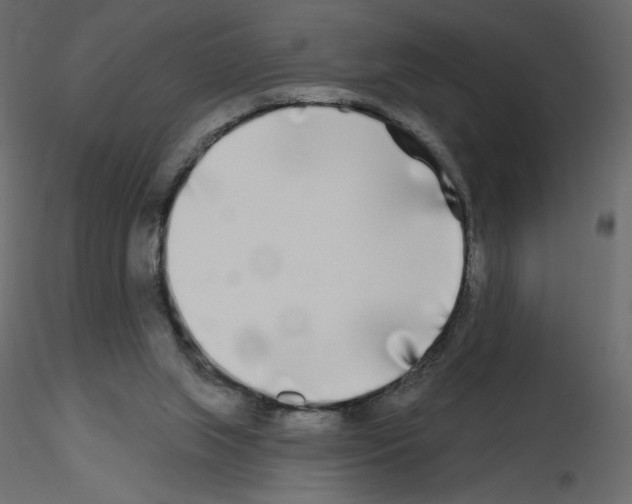 X0000115690063200912241510