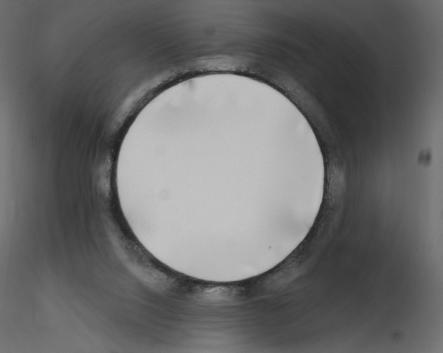 X0000115690064200912241510