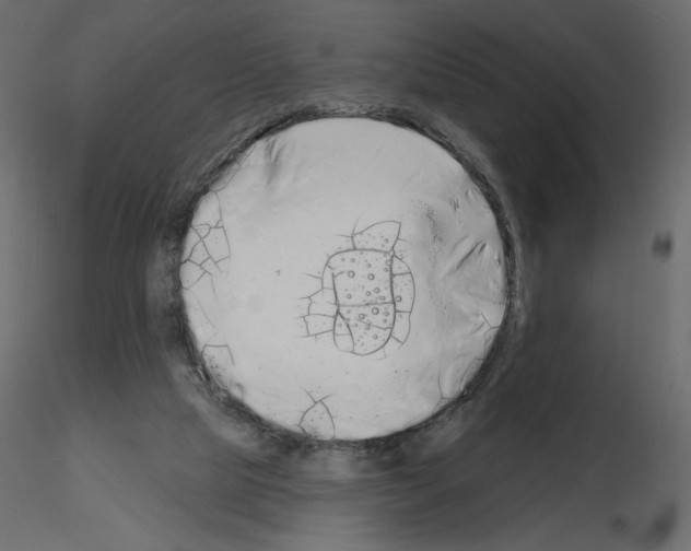 X0000115690065200912241510