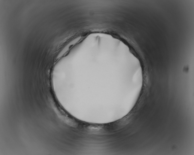 X0000115690066200912241510