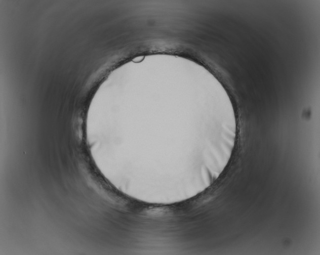 X0000115690067200912241510
