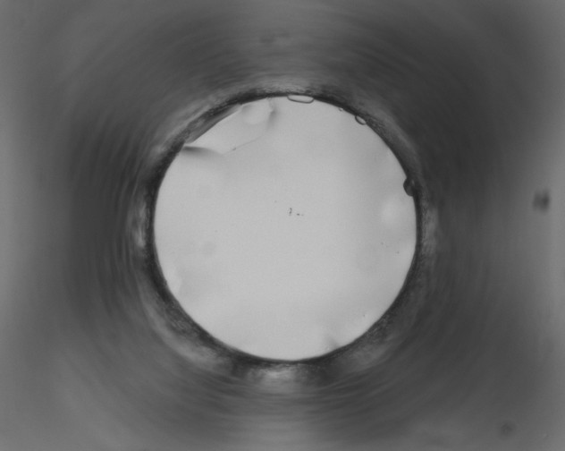 X0000115690068200912241510