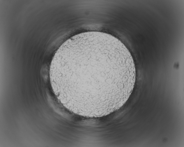 X0000115690069200912241510