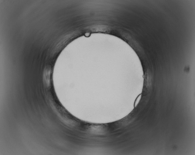 X0000115690070200912241510