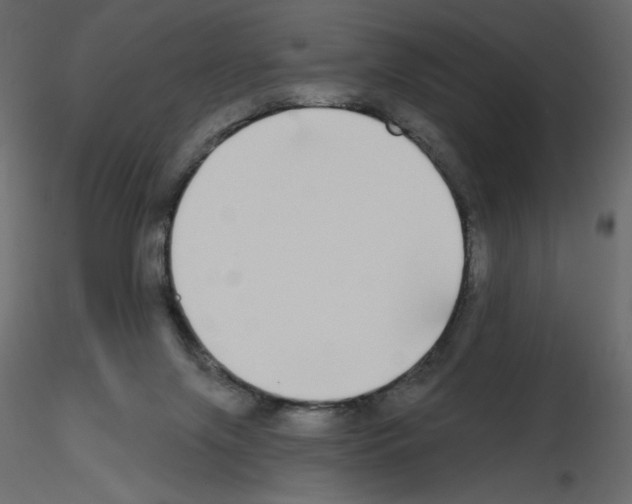 X0000115690071200912241510