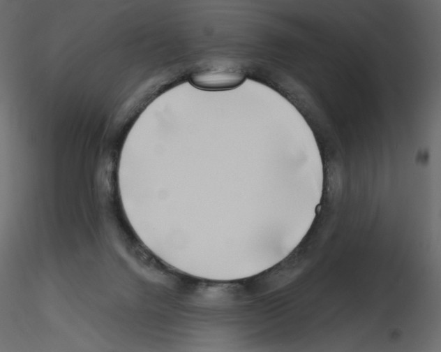 X0000115690072200912241510