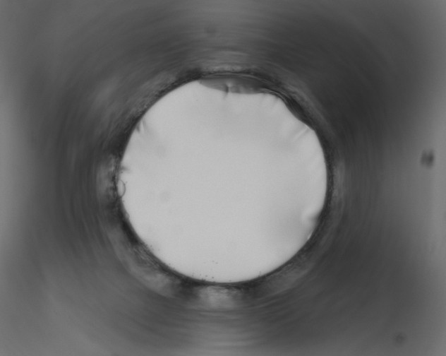 X0000115690073200912241510