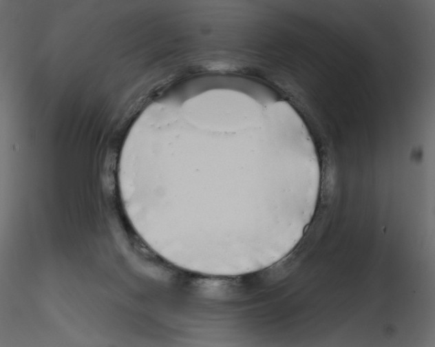 X0000115690074200912241510