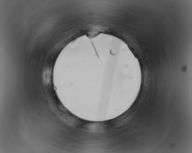 X0000115690075200912241510