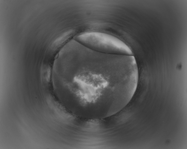 X0000115690076200912241510