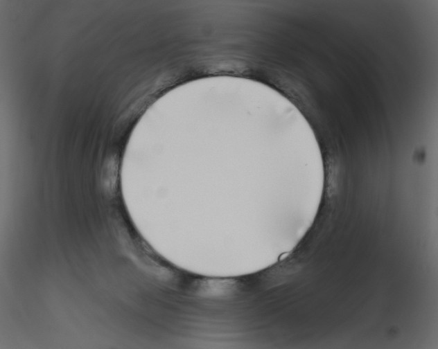 X0000115690077200912241510