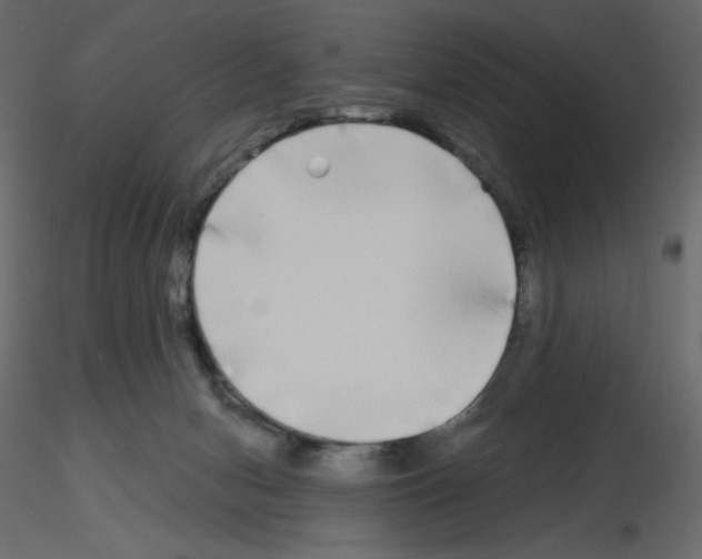 X0000115690078200912241510