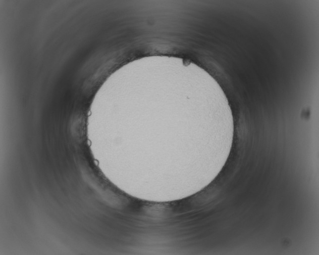 X0000115690079200912241510