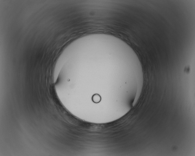 X0000115690080200912241510