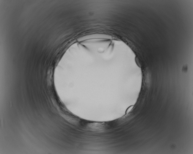 X0000115690082200912241510