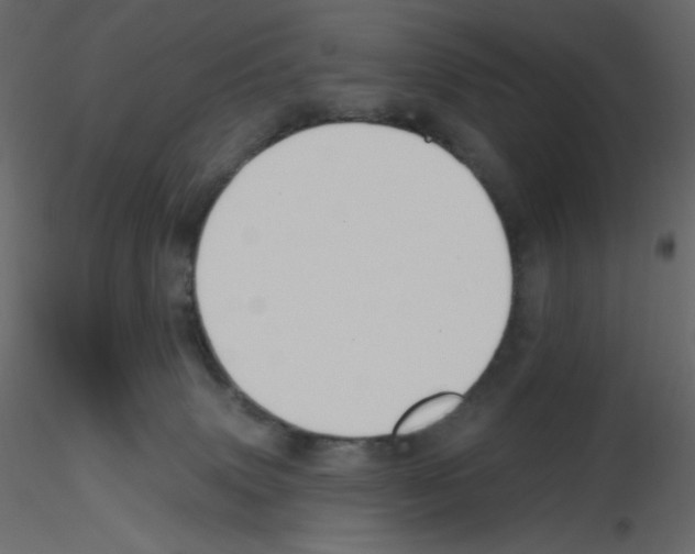 X0000115690083200912241510