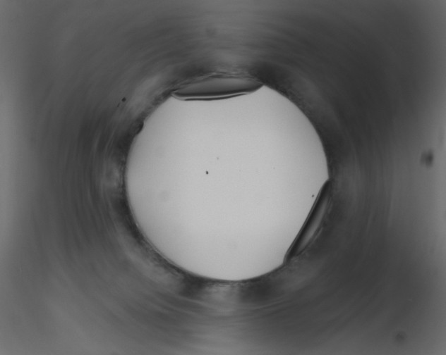 X0000115690084200912241511