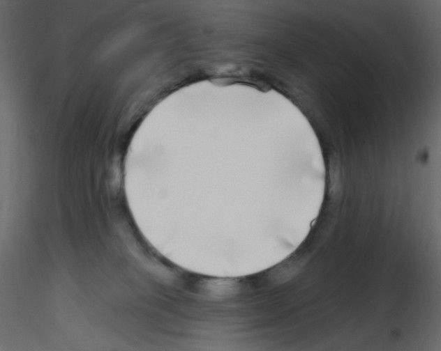 X0000115690085200912241511