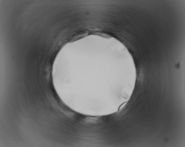 X0000115690086200912241511