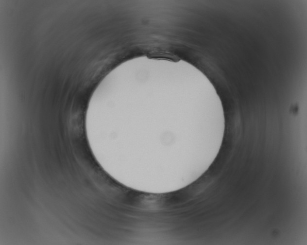 X0000115690088200912241511