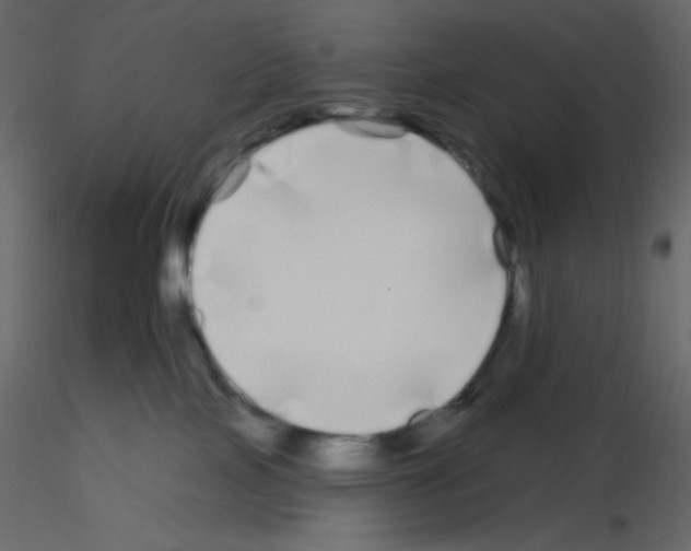 X0000115690089200912241511