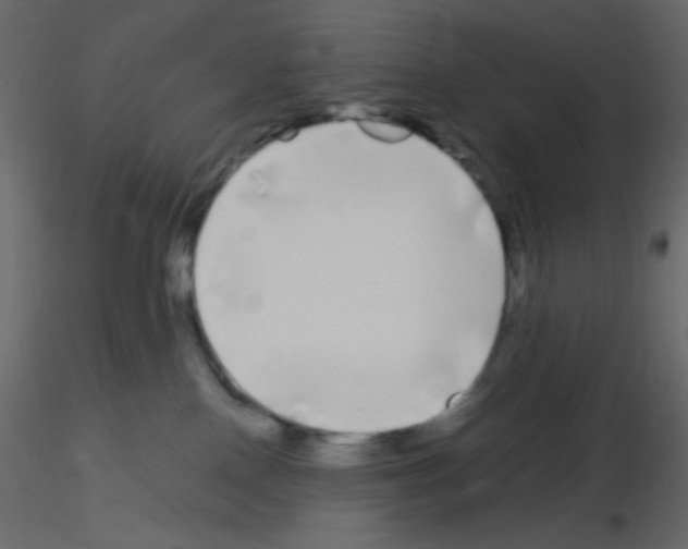 X0000115690090200912241511