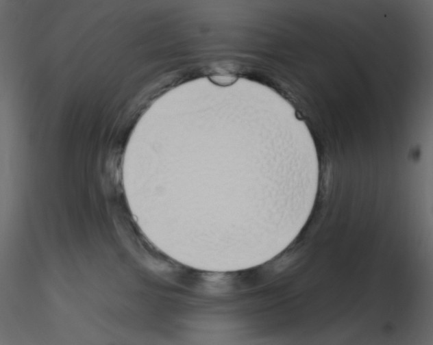 X0000115690091200912241511