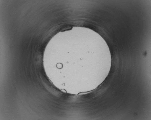 X0000115690092200912241511