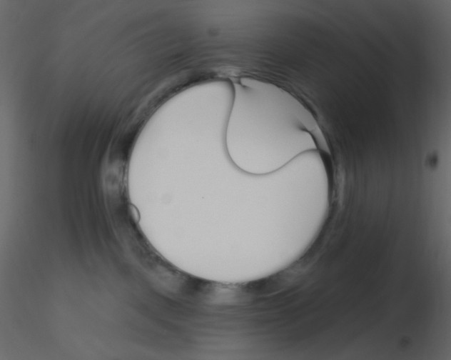X0000115690093200912241511