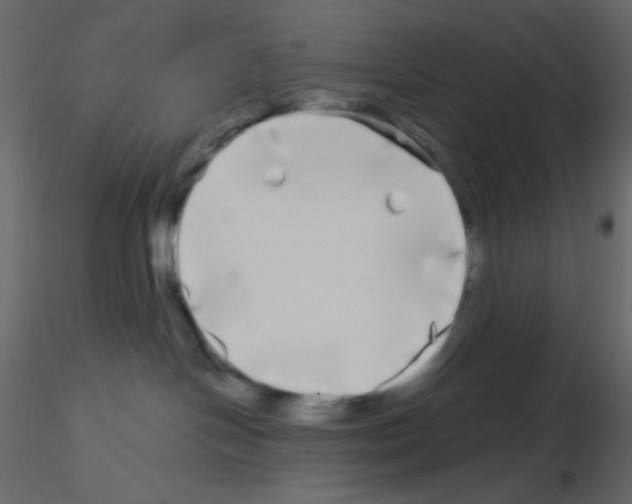 X0000115690094200912241511