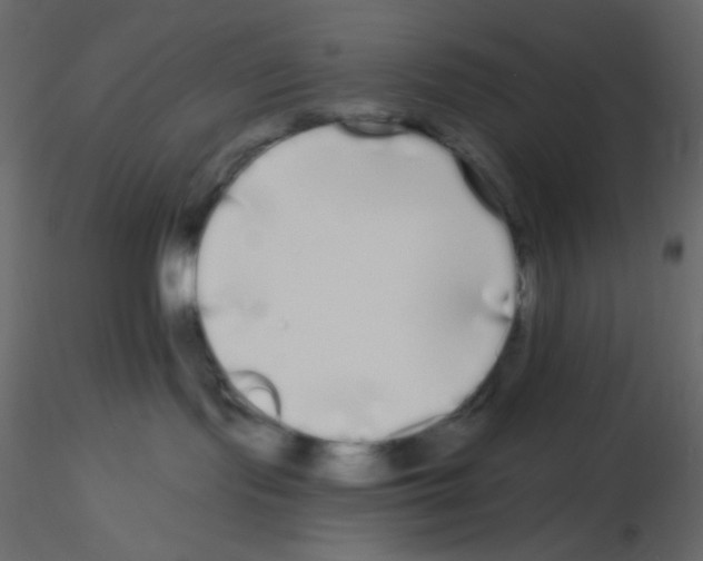 X0000115690095200912241511
